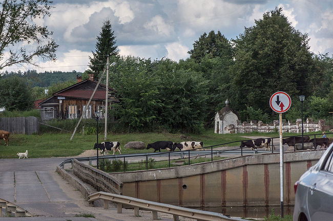 Ольга Кузнецова фотограф. Холуй. Народные промыслы. Лаковая миниатюра. Лев и Светлана Никоновы.. Вечерний Холуй. Домой.